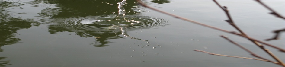 ../bandeau/1.jpg?refresh=1765009333